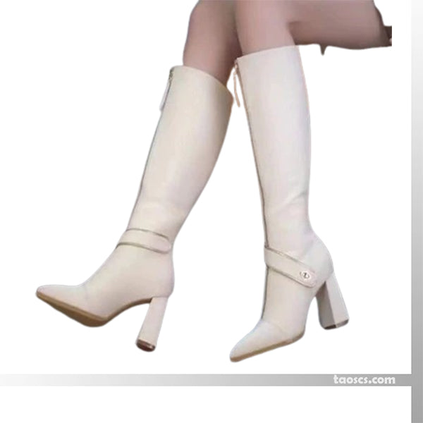 Botas Altas de Punta Fina y Tacón Grueso para Mujer