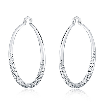 Pendientes de Plata de Ley