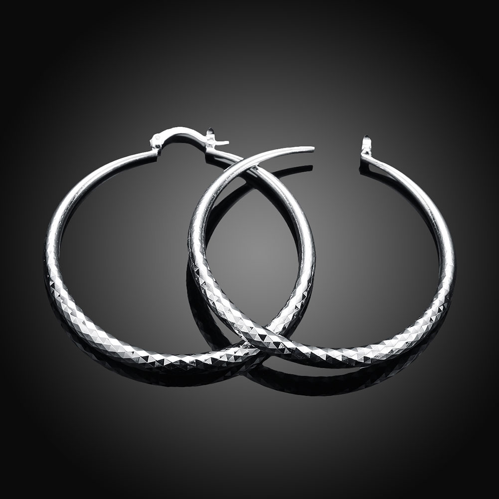 Pendientes de Plata de Ley
