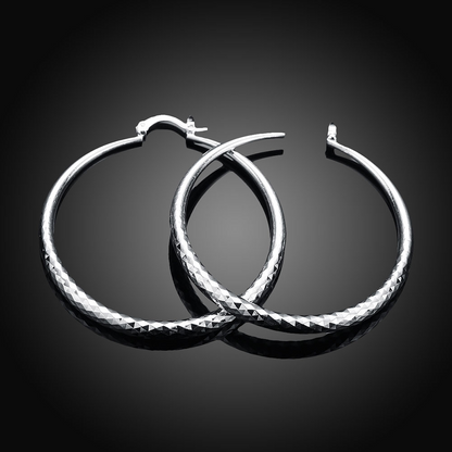 Pendientes de Plata de Ley
